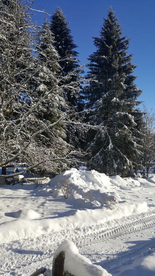 Wanderhuette Zum Bernhardsthal Villa Exteriör bild