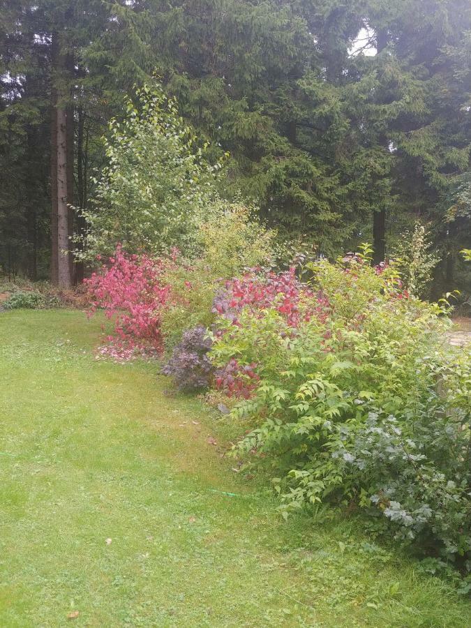 Wanderhuette Zum Bernhardsthal Villa Exteriör bild